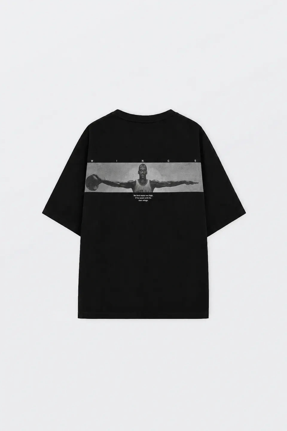 Fliying man Original Wings
